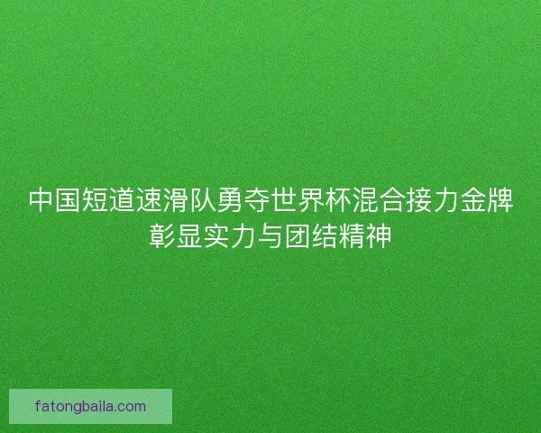 中国短道速滑队勇夺世界杯混合接力金牌彰显实力与团结精神